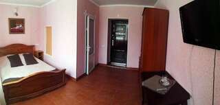 Отель Monte-Kristo Hotel Каменец-Подольский Стандартный двухместный номер с 1 кроватью-6