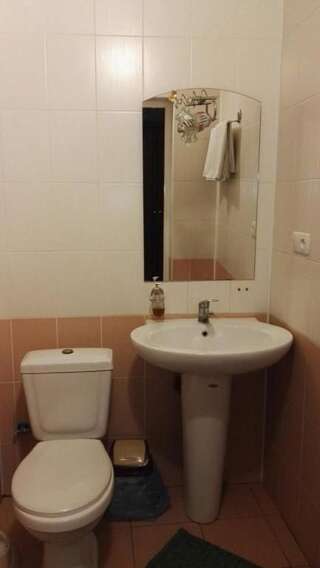 Отель Monte-Kristo Hotel Каменец-Подольский Стандартный двухместный номер с 1 кроватью-9